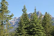 25 - Banff,Lake Louise,Morraine Lake  - IMG_0739
